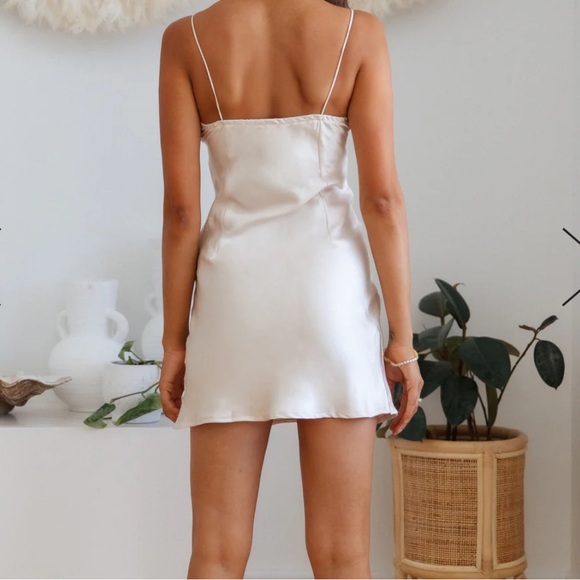 Hello molly champagne dress - Picture 3 of 5